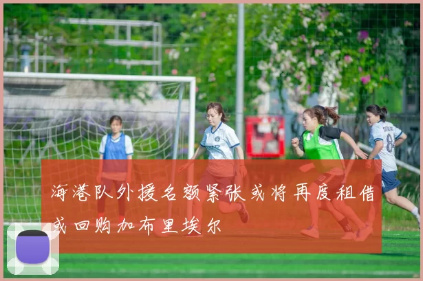 海港队外援名额紧张或将再度租借或回购加布里埃尔