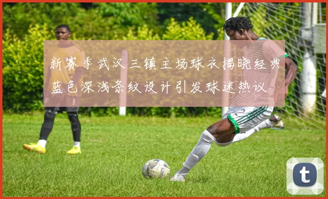 新赛季武汉三镇主场球衣揭晓经典蓝色深浅条纹设计引发球迷热议